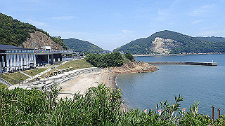 p6011591_thumb.jpg