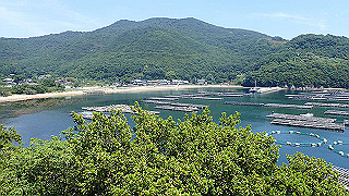 p6011600_thumb.jpg