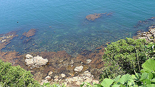 p6011602_thumb.jpg