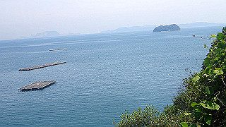 p6011604_thumb.jpg