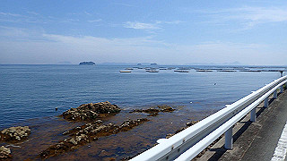 p6011606_thumb.jpg