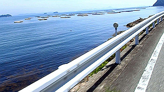 p6011607.mov_thumb.jpg