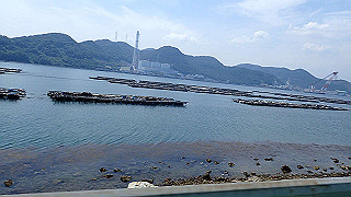 p6011615_thumb.jpg