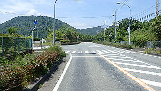 p6011617_thumb.jpg