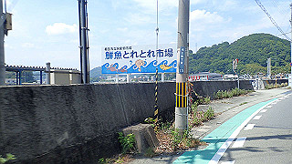 p6011623_thumb.jpg