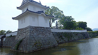 p6011664_thumb.jpg