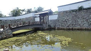 p6011667_thumb.jpg