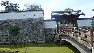 p6011669_thumb.jpg