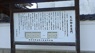 p6011672_thumb.jpg