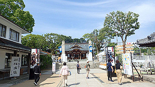 p6011681_thumb.jpg