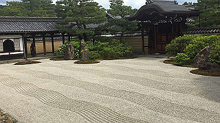 20190612_044722139_ios_thumb.jpg