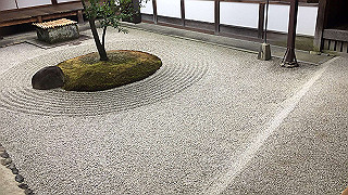 20190612_051505771_ios_thumb.jpg