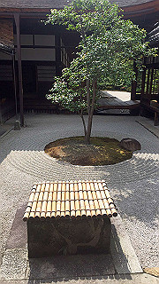 20190612_054426914_ios_thumb.jpg