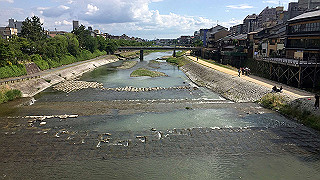 20190612_061318498_ios_thumb.jpg