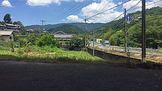 20190625_030813815_ios_thumb.jpg