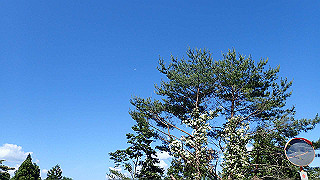 p6251403_thumb.jpg