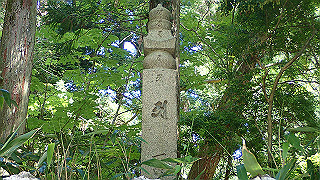 p6251416_thumb.jpg