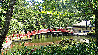 p6251419_thumb.jpg