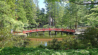 p6251420_thumb.jpg