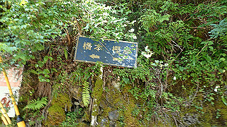 p6251448_thumb.jpg