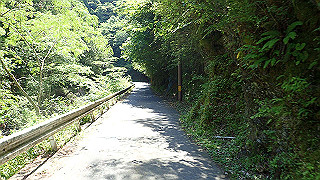 p6251449_thumb.jpg