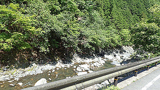 p6251455_thumb.jpg