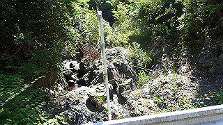 p6251456_thumb.jpg