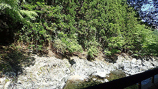 p6251460_thumb.jpg