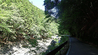 p6251462_thumb.jpg