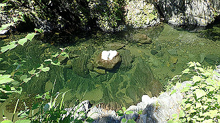 p6251463_thumb.jpg