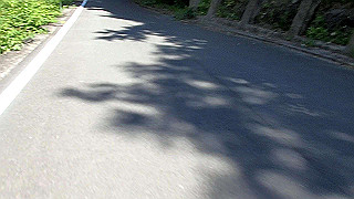 p6251465.mov_thumb.jpg