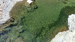 p6251470_thumb.jpg