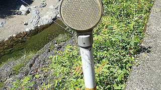 p6251482_thumb.jpg