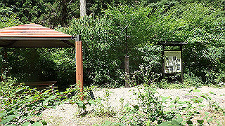 p6251491_thumb.jpg
