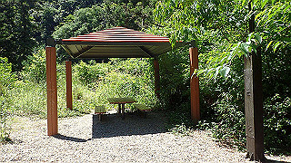 p6251493_thumb.jpg