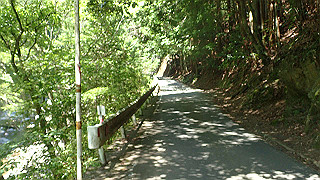p6251496_thumb.jpg