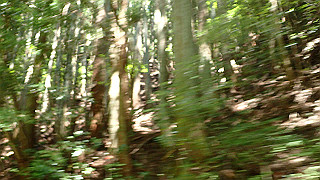 p6251497_thumb.jpg