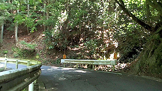 p6251504.mov_thumb.jpg