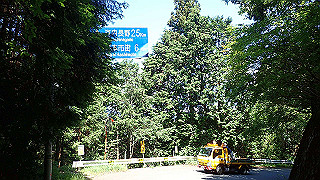 p6251505_thumb.jpg