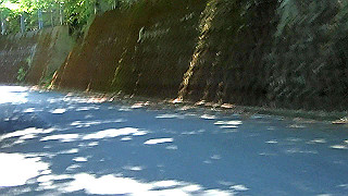 p6251511.mov_thumb.jpg