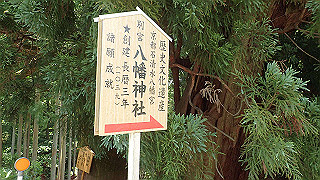 p6251535_thumb.jpg