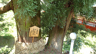 p6251536_thumb.jpg