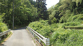 p6251537_thumb.jpg