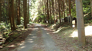 p6251538_thumb.jpg