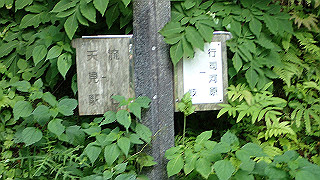 p6251539_thumb.jpg