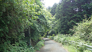 p6251541_thumb.jpg