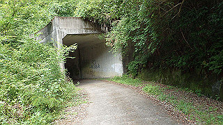 p6251542_thumb.jpg