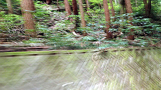 p6251548_thumb.jpg