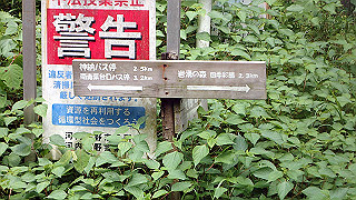 p6251551_thumb.jpg