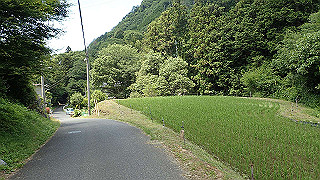 p6251552_thumb.jpg